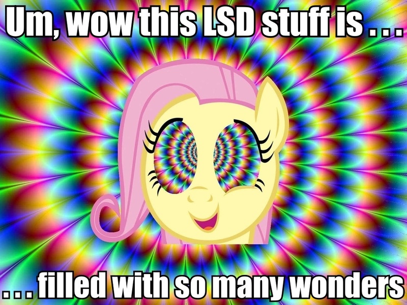 Size: 960x720 | Tagged: safe, derpibooru import, fluttershy, flutterhigh, image macro, lsd