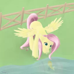 Size: 4800x4800 | Tagged: absurd resolution, artist:emiliearts, derpibooru import, fence, fish, fluttershy, safe, solo, water