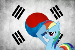 Size: 3000x2001 | Tagged: safe, derpibooru import, rainbow dash, flag, korea, rainbow dash salutes, salute, solo, south korea