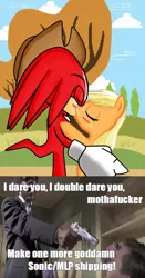 Size: 500x952 | Tagged: anti-shipping, applejack, appleknux, crossover, crossover shipping, derpibooru import, female, hate, interspecies, jules winfield, knuckles the echidna, love, male, meta, pulp fiction, safe, samuel l jackson, shipping, sonic drama, sonic the hedgehog (series), straight, vulgar