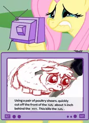 Size: 560x770 | Tagged: semi-grimdark, derpibooru import, fluttershy, fluffy pony, pony, crying, exploitable meme, fluffy pony grimdark, fluttercry, imminent death, imminent decapitation, implied decapitation, meme, obligatory pony, scissors, this kills the crab, tv meme