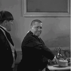 Size: 482x480 | Tagged: animated, black and white, carrot, cropped, curly, curly howard, curly throwing things, derpibooru import, dragonshy, edit, edited screencap, flutterbuse, fluttershy, food, grayscale, irl, moe, moe howard, safe, screencap, the three stooges, thousand yard stare, throwing, throwing things at fluttershy