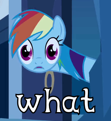 Size: 374x408 | Tagged: safe, derpibooru import, rainbow dash, image macro, reaction image, solo, wat