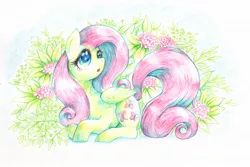 Size: 1500x1000 | Tagged: safe, artist:dakusei, derpibooru import, fluttershy, pixiv, solo, traditional art