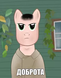 Size: 472x599 | Tagged: meme, nomad, ponified, russian, russian meme, safe, xynta