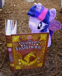 Size: 815x1000 | Tagged: 4de, book, derpibooru import, elements of harmony, irl, merchandise, my little pony logo, photo, plushie, safe, twilight sparkle