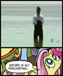 Size: 392x468 | Tagged: derpibooru import, discovery channel, exploitable meme, fluttershy, jamie hyneman, meme, mythbusters, nature is so fascinating, obligatory pony, safe, the wild hyneman, youtube link