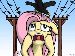 Size: 900x675 | Tagged: safe, artist:yorik-cz, derpibooru import, fluttershy, crow, alfred hitchcock, floppy ears, frown, open mouth, power line, screaming, solo, squishy cheeks, telephone lines, the birds, tongue out, wide eyes