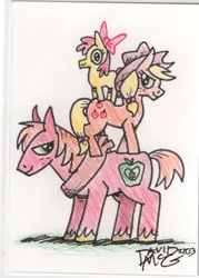 Size: 308x430 | Tagged: safe, artist:coyotecoyote, artist:daisyfinch, derpibooru import, apple bloom, applejack, big macintosh, earth pony, pony, bow, colored hooves, colored pencil drawing, cowboy hat, female, filly, hair bow, hat, horse collar, male, mare, pile, siblings, simple background, stallion, traditional art, trio, unshorn fetlocks, white background