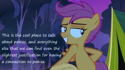 Size: 1062x593 | Tagged: cool, derpibooru import, grin, insane pony thread, safe, scootaloo, sleepless in ponyville, solo, tumblr