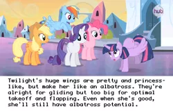 Size: 959x612 | Tagged: safe, derpibooru import, applejack, pinkie pie, rainbow dash, rarity, twilight sparkle, twilight sparkle (alicorn), albatross, alicorn, equestria girls, headcanon, observation, text, theory