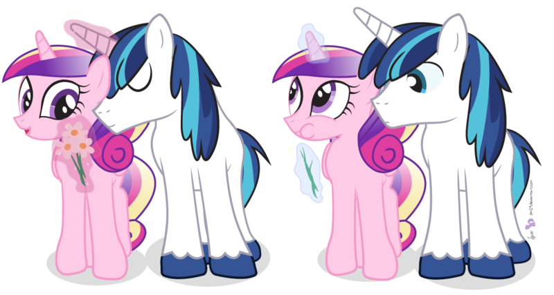 Size: 1125x600 | Tagged: artist:dm29, derpibooru import, duo, flower, magic, princess cadance, safe, shining armor, simple background, telekinesis, transparent background