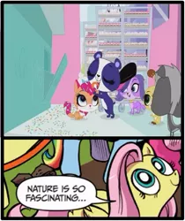 Size: 397x473 | Tagged: buttercream sunday, derpibooru import, dog, exploitable meme, fluttershy, licking, littlest pet shop, meme, nature is so fascinating, obligatory pony, panda, penny ling, pepper clark, rabbit, safe, skunk, sugar sprinkles, zoe trent