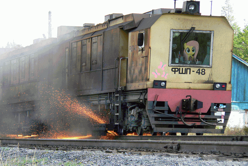 Size: 1200x806 | Tagged: cutie mark, derpibooru import, fluttershy, photo, photoshop, railroad, russia, safe, sparks, train