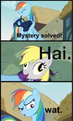 Size: 709x1180 | Tagged: safe, derpibooru import, derpy hooves, mare do well, rainbow dash, pegasus, pony, derp, female, mare, unmasked, wat