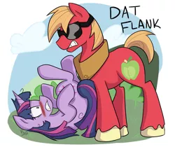 Size: 1847x1549 | Tagged: safe, artist:blackswhites, derpibooru import, big macintosh, twilight sparkle, earth pony, pony, lesson zero, blushing, dat butt, male, meme, scene interpretation, stallion, upside down