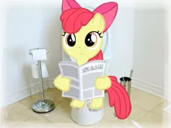 Size: 1023x767 | Tagged: apple bloom, artist:trixiepixel1456, bathroom, but why, dead source, derpibooru import, irl, newspaper, photo, ponies in real life, potty, potty time, safe, solo, toilet