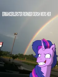 Size: 720x960 | Tagged: safe, artist:colossalstinker, derpibooru import, twilight sparkle, pony, derp, double rainbow, ermahgerd, g3, g4 to g3, generation leap, image macro, outdoors, solo, twilight snapple