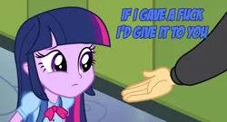 Size: 1018x548 | Tagged: blue text, derpibooru import, flash sentry, image macro, reaction image, safe, twilight sparkle, vulgar