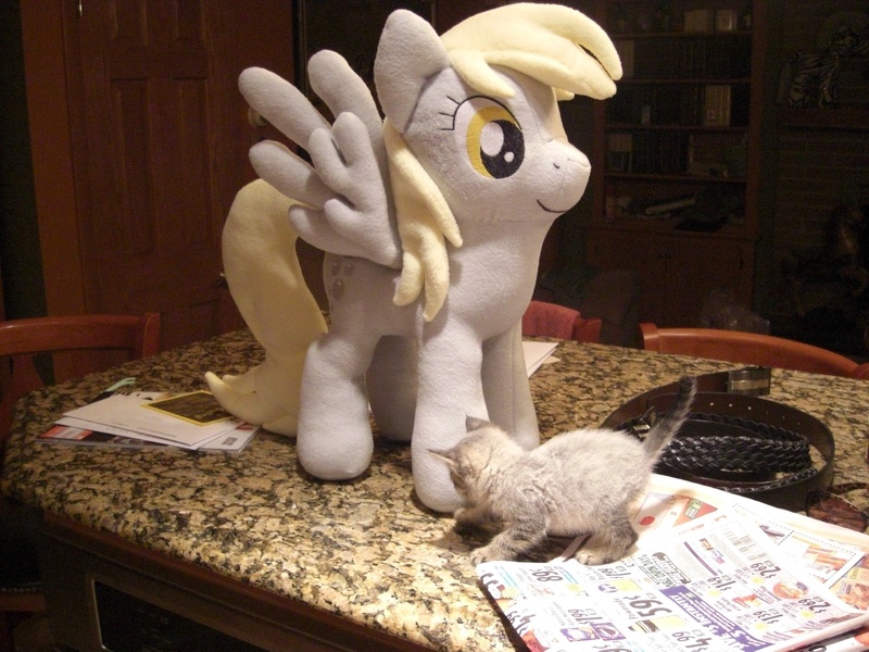 Size: 3648x2736 | Tagged: safe, artist:theculturewarrior, derpibooru import, derpy hooves, pegasus, pony, female, irl, kitten, mare, photo, plushie