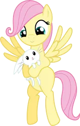 Size: 6000x9434 | Tagged: safe, artist:mactavish1996, artist:theflyingmagpie, derpibooru import, angel bunny, fluttershy, pony, absurd resolution, bipedal, cute, female, filly, flying, holding, hug, mare, shyabetes, simple background, smiling, spread wings, transparent background, vector, wings, younger