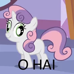 Size: 512x512 | Tagged: derp, derpibooru import, o hai, safe, scrunchy face, solo, sweetie belle, sweetie derp