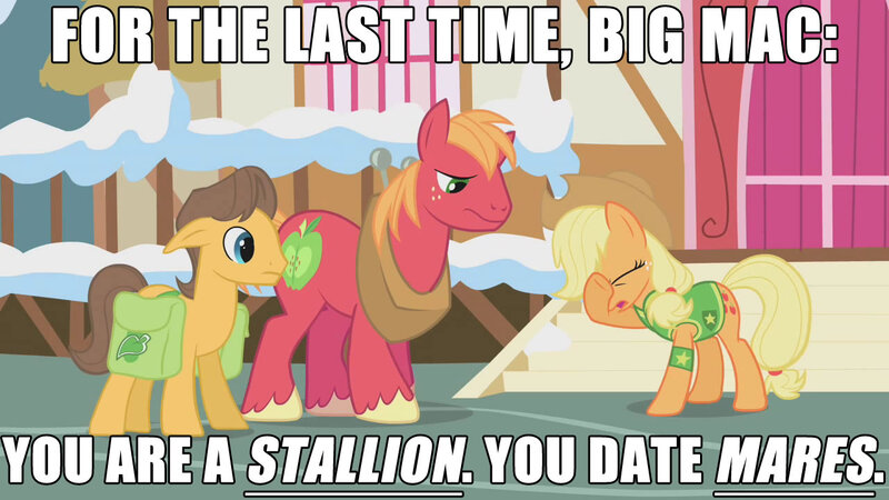 Size: 1280x720 | Tagged: safe, derpibooru import, edit, edited screencap, screencap, applejack, big macintosh, caramel, earth pony, pony, winter wrap up, bag, bigotjack, caption, caramac, cowboy hat, female, gay, hat, homophobia, horse collar, image macro, male, mare, out of character, out of context, saddle bag, shipping, stallion, text, winter wrap up vest