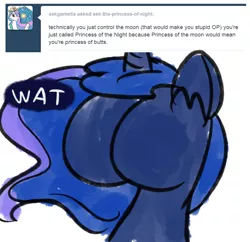 Size: 900x870 | Tagged: safe, artist:talludde, derpibooru import, princess luna, ask the princess of night, buttface, solo, tumblr, wat