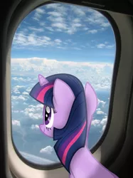 Size: 800x1067 | Tagged: safe, derpibooru import, twilight sparkle, pony, unicorn, featured image, image, irl, photo, plane, png, ponies in real life, sky, solo, unicorn twilight, vector, window