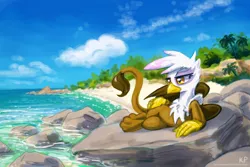 Size: 1500x1000 | Tagged: safe, artist:kp-shadowsquirrel, derpibooru import, gilda, gryphon, beach, cloud, female, folded wings, image, jpeg, lying down, outdoors, raised tail, rock, scenery, side, solo, sultry pose, tail, tree, wings