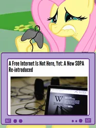 Size: 563x752 | Tagged: crying, derpibooru import, drama, exploitable meme, fluttershy, meme, obligatory pony, safe, sopa, tv meme