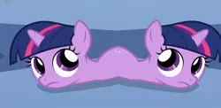 Size: 1066x519 | Tagged: budding, catdog, conjoined, derpibooru import, filly, filly twilight sparkle, frown, looking up, mitosis, safe, twilight sparkle, twiworm, two heads, wat, what has science done