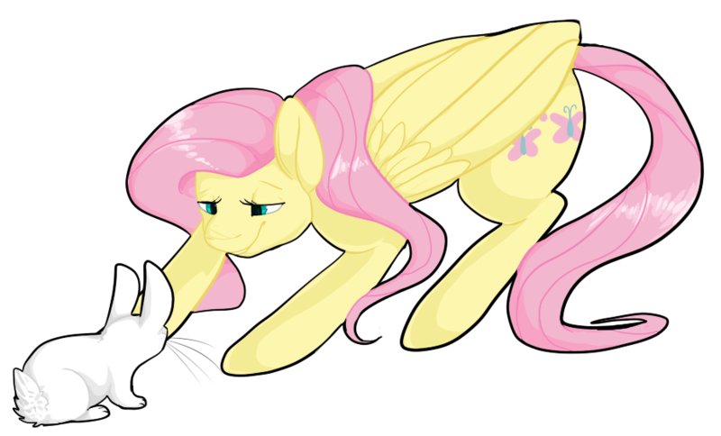 Size: 925x560 | Tagged: safe, artist:catnlp, derpibooru import, fluttershy, rabbit, solo