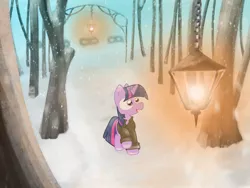 Size: 2048x1536 | Tagged: artist:fuzzyfox11, clothes, derpibooru import, light, safe, snow, snowfall, solo, twilight sparkle, winter