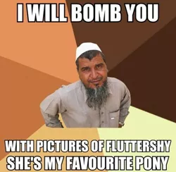 Size: 500x487 | Tagged: advice meme, artifact, barely pony related, derpibooru import, exploitable meme, fluttershy, human, image macro, irl, irl human, meme, ordinary muslim man, paraprosdokian, photo, safe