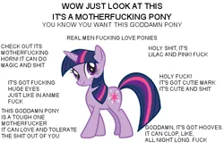 Size: 500x335 | Tagged: best pony, caps lock, cardboard twilight, derpibooru import, extreme, extreme advertising, hardcore, image macro, safe, solo, stock vector, text, twilight sparkle, vulgar