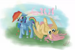 Size: 1200x800 | Tagged: artist:miokomata, derpibooru import, fluttershy, on back, rainbow dash, rolling, safe