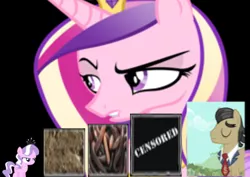 Size: 492x349 | Tagged: derpibooru import, diamond tiara, dragonball z abridged, filthy rich, pecking order, princess cadance, safe