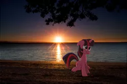 Size: 3456x2304 | Tagged: beach, derpibooru import, irl, photo, ponies in real life, safe, shadow, solo, sun, sunset, twilight sparkle