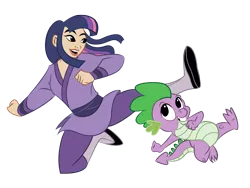 Size: 2658x2000 | Tagged: artist needed, crossover, derpibooru import, disney, disney princess, human, humanized, kick, kicking, kung fu, mulan, safe, simple background, spike, style emulation, transparent background, twilight sparkle, vector