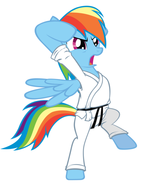 Size: 778x1026 | Tagged: safe, derpibooru import, rainbow dash, pegasus, pony, bipedal, black belt, clothes, female, gi, karate, mare, simple background, solo, transparent background, vector