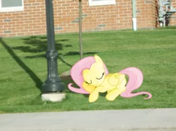 Size: 1024x764 | Tagged: artist:nikorurene, artist:teiptr, building, derpibooru import, fluttershy, irl, lawn, photo, ponies in real life, safe, shadow, sleeping, solo, streetlight, vector