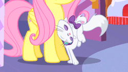Size: 960x540 | Tagged: safe, derpibooru import, screencap, fluttershy, opalescence, cat, pony, stare master, animated, cute, female, mare, nuzzling, opalbetes, shyabetes
