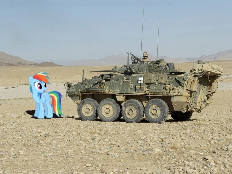 Size: 800x600 | Tagged: afghan civil war, afghanistan, artist:cplhenderson, canadian, derpibooru import, desert, human, infantry fighting vehicle, irl, lav, looking back, military, open mouth, patrol, photo, ponies in real life, rainbow dash, royal canadian regiment, safe, sky, standing, stare, surprised, war