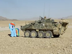 Size: 800x600 | Tagged: afghan civil war, afghanistan, artist:cplhenderson, canadian, derpibooru import, desert, human, infantry fighting vehicle, irl, lav, looking back, military, open mouth, patrol, photo, ponies in real life, rainbow dash, royal canadian regiment, safe, sky, standing, stare, surprised, war