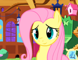 Size: 527x405 | Tagged: animated, cute, derpibooru import, fluttershy, holding breath, safe, screencap, shyabetes, solo, squee, stare master