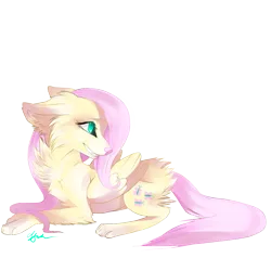 Size: 1181x1181 | Tagged: safe, artist:affanita, derpibooru import, fluttershy, wolf, cute, flutterwolf, shyabetes, solo, species swap