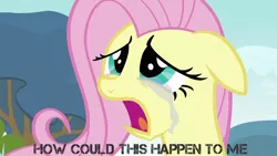 Size: 994x559 | Tagged: crying, derpibooru import, floppy ears, fluttershy, how could this happen to me, sad, safe, simple plan, solo, song reference, text, untitled (song)