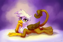Size: 1920x1280 | Tagged: safe, artist:kp-shadowsquirrel, derpibooru import, gilda, gryphon, cute, female, folded wings, gilda is amused, gildadorable, hand on chin, image, jpeg, looking at you, lying down, prone, raised tail, smiling, solo, tail, wings