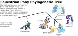 Size: 794x376 | Tagged: safe, derpibooru import, applejack, princess celestia, queen chrysalis, rainbow dash, rarity, zecora, alicorn, changeling, changeling queen, earth pony, pegasus, pony, unicorn, zebra, cladogram, evolution, headcanon, phylogenetic tree, text